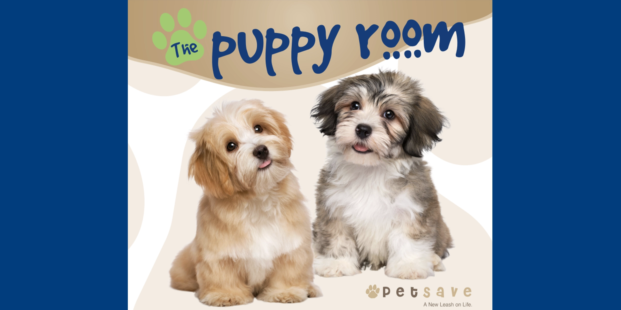 Promotional graphic for the puppy room, featuring two puppies sitting down.
